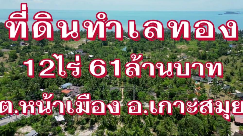 For SaleLandKoh Samui, Surat Thani : Land for sale on Koh Samui, 12 rai, 61 million baht.