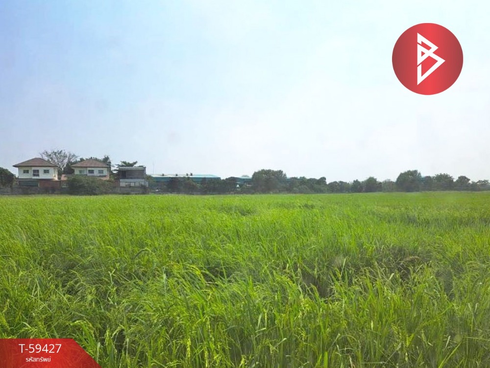For SaleLandAyutthaya : Land for sale, area 8 rai 1 ngan, Bang Pa-in, Phra Nakhon Si Ayutthaya