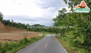 For SaleLandNan : Land in Pua Sub-district, Pua District, Nan, area 5 rai 2 ngan 7 square wa (near Doi Pua), good investment location.