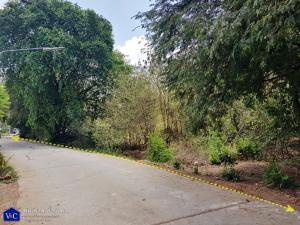 For SaleLandAyutthaya : Empty land next to the Pa Sak River, area 2-2-17 rai, Pak Chan Subdistrict, Nakhon Luang District, Phra Nakhon Si Ayutthaya Province.