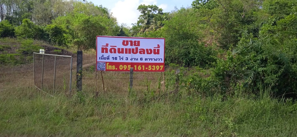 For SaleLandNakhon Si Thammarat : Cheap land, Ron Phibun, Nakhon Si Thammarat Land in Nakhon Si Thammarat Province