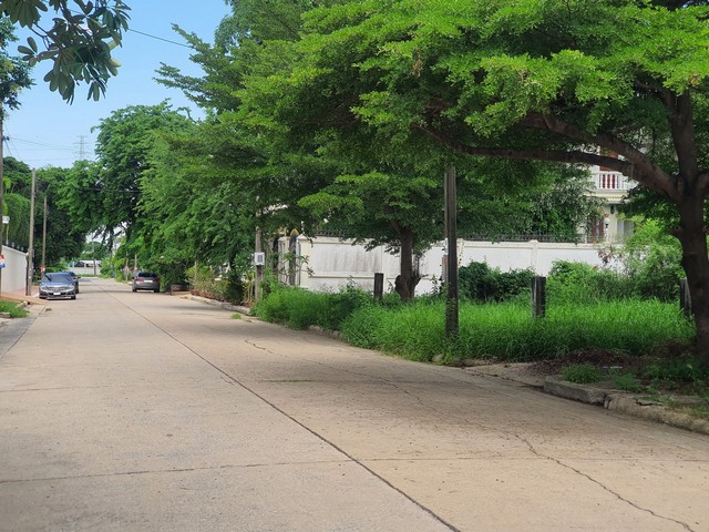 For SaleLandPattanakan, Srinakarin : Phatthanakan land for sale, area 62 square wah, filled