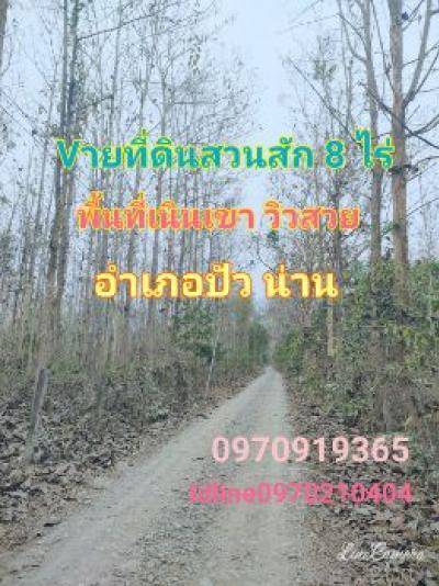 ขายที่ดินน่าน : ขาย ที่ดิน สวนสักทอง เนินเขา วิวสวย 8 ไร่ อ.ปัว น่าน