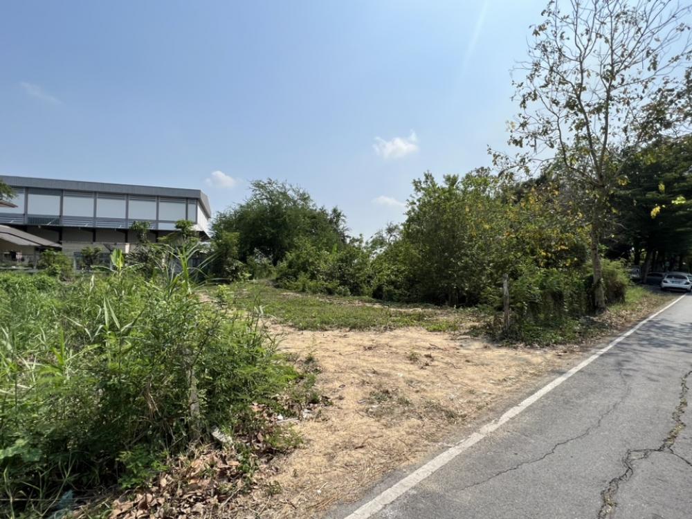 For SaleLandPhutthamonthon, Salaya : Land for sale, front on the road, behind the canal, good location, near Nami Salaya restaurant