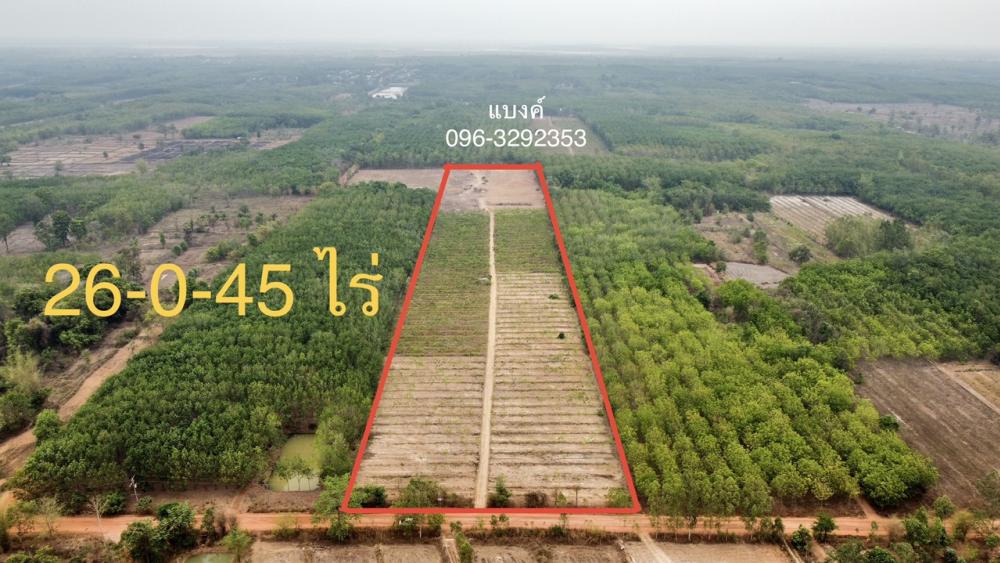 For SaleLandNong Khai : Rubber plantation land for sale, Rattanawapi Subdistrict
