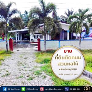 For SaleLandChumphon : 🍓🥝 Selling fruit orchard land With buildings in Chumphon 🏠🍊 31 rai 1 ngan 21.6 sq m.