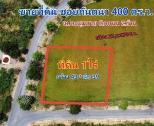ขายที่ดินนนทบุรี บางใหญ่ บางบัวทอง : ที่ดิน ซอย กันตนา 1 ไร่ วัดไผ่เหลือง(บางใหญ่) แปลงมุมสวย ติดถนนทั้ง 2 ด้าน เพียง 21,xxx บาท/ตร.ว.