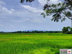 ขายที่ดินลำปาง : ขายที่ดิน ตำบลต้นธงชัย อำเภอเมืองลำปาง ขนาด 85.5 ไร่ หน้าติดถนน 112 เมตร ห่างจากห้างเซ็นทรัล ลำปาง 9 กม. ราคาไร่ละ 800,000 บาท รวม 68,400,000 บาท ที่ดินเป็นทุ่งนา วิวภูเขา ติดถนน 4 เลน อยู่ในย่านชุมชน