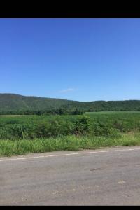 For SaleLandKanchanaburi : Selling at 2 beautiful plots next to each other, next to the road, Nong Prue District, Kanchanaburi Province.