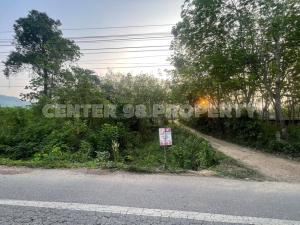 ขายที่ดินหาดใหญ่ สงขลา : ขาย ที่ดินสงขลา แปลงสวย