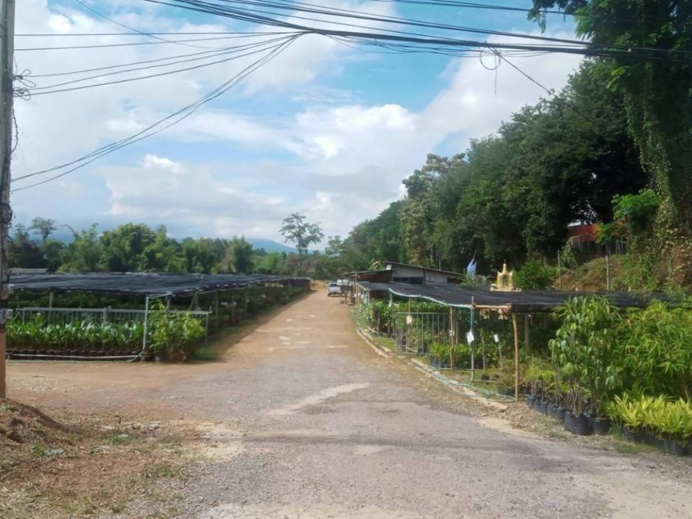 For SaleLandPhayao : Urgent sale, very cheap land, 1. 8 million baht per rai, land next to the main road on 2 sides, Mueang Phayao District.
