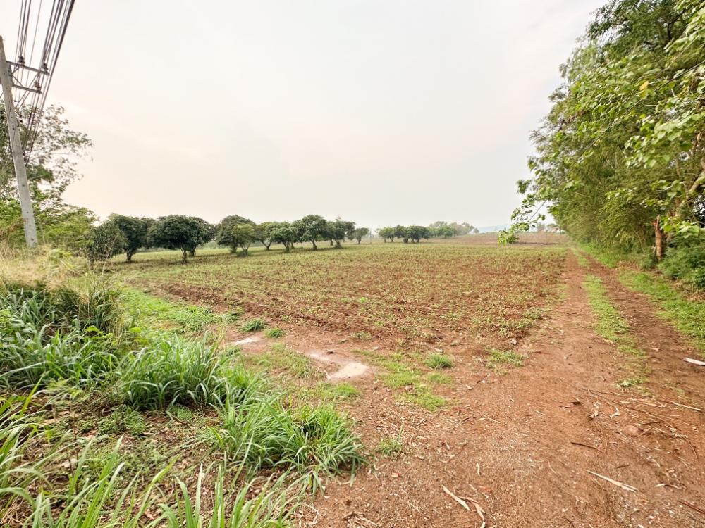 For SaleLandPak Chong KhaoYai : Beautiful land for sale, urgent sale!! Land next to the main road, good price, prime location, opposite Toscana Valley, Khao Yai.