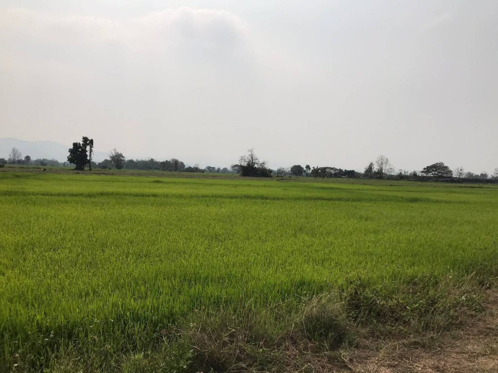 For SaleLandChiang Mai : Land for sale with rice field views. Opposite San Kamphaeng Hospital, Chiang Mai, away from Super Road Chiang Mai - San Kamphaeng, new line (1317), only 400 meters