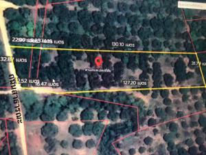 For SaleLandLamphun : Land for sale in longan garden Surrounded by mountains 🏔️