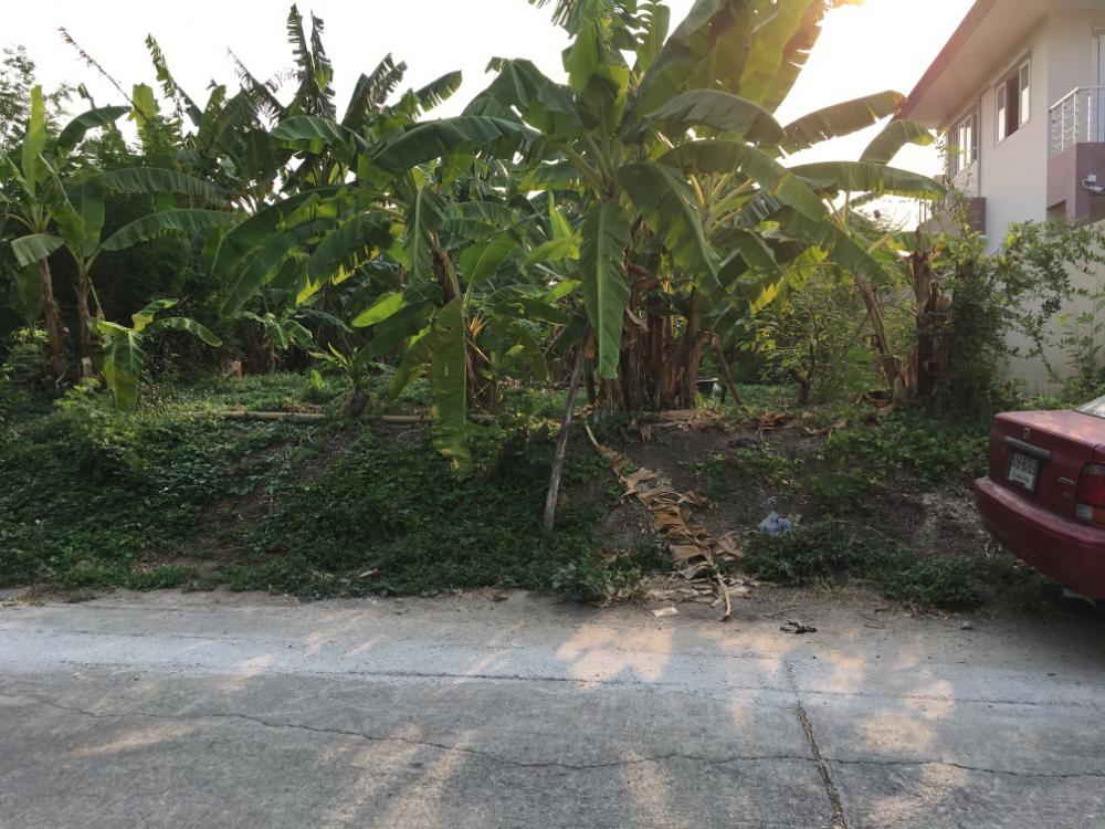 For SaleLandChaengwatana, Muangthong : The owner sells by himself Land in Soi Chin Khet, size 100 sq m 📞0639399665