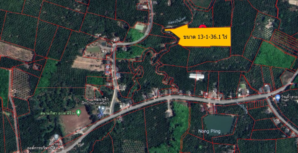 For SaleLandKrabi : Land for sale in palm garden Krabi Province, Plai Phrayao District, size 13 -1 -36.1 rai = (5,336.1 sq m.)