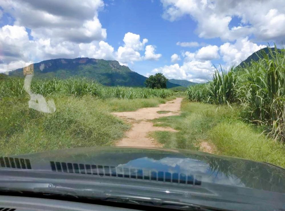 For SaleLandKanchanaburi : Land for sale, 21 rai, Sai Yok, Kanchanaburi, near Sai Yok Waterfall, access to water and electricity, planted 5 rai of teak trees, special price.