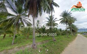 For SaleLandHuahin, Prachuap Khiri Khan, Pran Buri : Rai Mai Subdistrict Land Sam Roi Yot District Prachuap Khiri Khan, area 5-1-4 square wah (2,104 square wah)