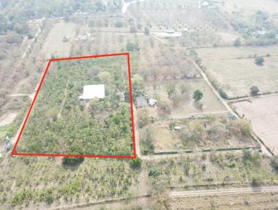 For SaleLandPak Chong KhaoYai : Land for sale in Khao Yai, Phaya Yen Subdistrict, Pak Chong District, with a variety of fruits, 11 rai, overlooking the most beautiful mountains.