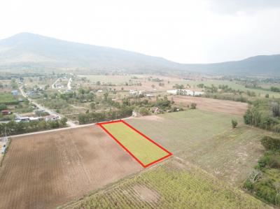 For SaleLandPak Chong KhaoYai : Land for sale in Khao Yai, Wang Sai Subdistrict, Pak Chong District, 2 rai