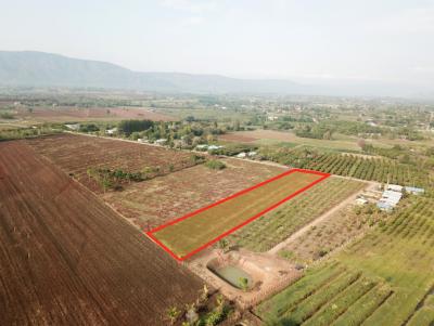 For SaleLandPak Chong KhaoYai : Land for sale in Khao Yai, Pong Ta Long Subdistrict, Pak Chong District, 5 rai
