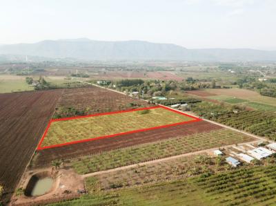 For SaleLandPak Chong KhaoYai : Land for sale in Khao Yai, Pong Ta Long Subdistrict, Pak Chong District, 10 rai
