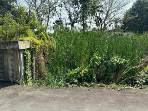 For SaleLandPinklao, Charansanitwong : Land for sale, 111 sq m., Phra Thep Road, Phran Nok - Phutthamonthon Sai 1, Ratchaphruek