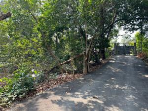For SaleLandPinklao, Charansanitwong : Land for sale, 127 sq m., Phra Thep Road, Phran Nok - Phutthamonthon Sai 1, Ratchaphruek, Taling Chan