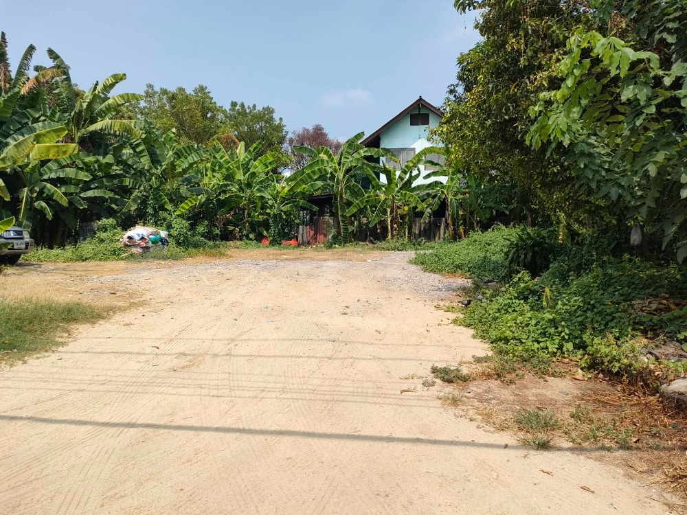 For SaleLandNonthaburi, Bang Yai, Bangbuathong : Sale of land. Near the purple line, the best price in this area, 100 sq m., suitable for building a quiet residential house, close to many amenities