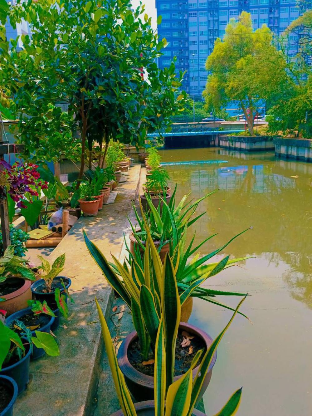 ขายที่ดินรัชดา ห้วยขวาง : ที่ดินห้วยขวาง ทำเลทองย่านธุรกิจ ในราคาพิเศษสุดๆ ต่ำกว่าราคาตลาด