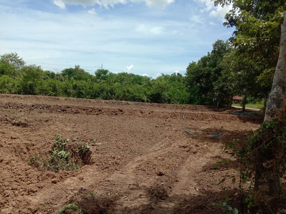 For SaleLandRatchaburi : Land for sale in excellent location, selected, area 252.8 square wah, Ratchaburi, Wat Kaew, Bang Phae, Ratchaburi