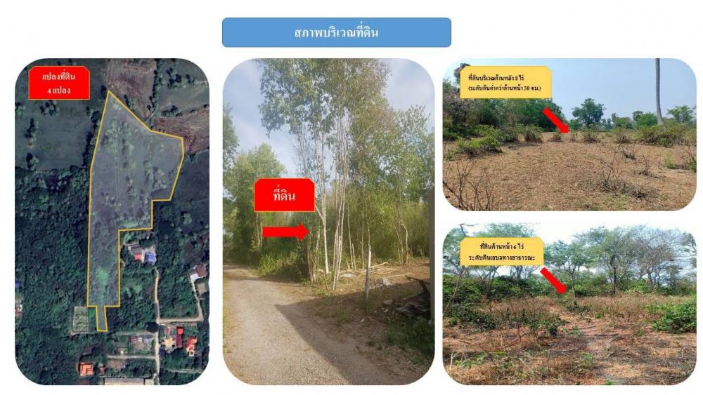 ขายที่ดินชะอำ เพชรบุรี : ขายที่ดิน 14 ไร่ ใจกลางเมืองเพชรบุรี ตำบลนาวุ้ง อำเภอเมือง จังหวัดเพชรบุรี เจ้าของขายเอง