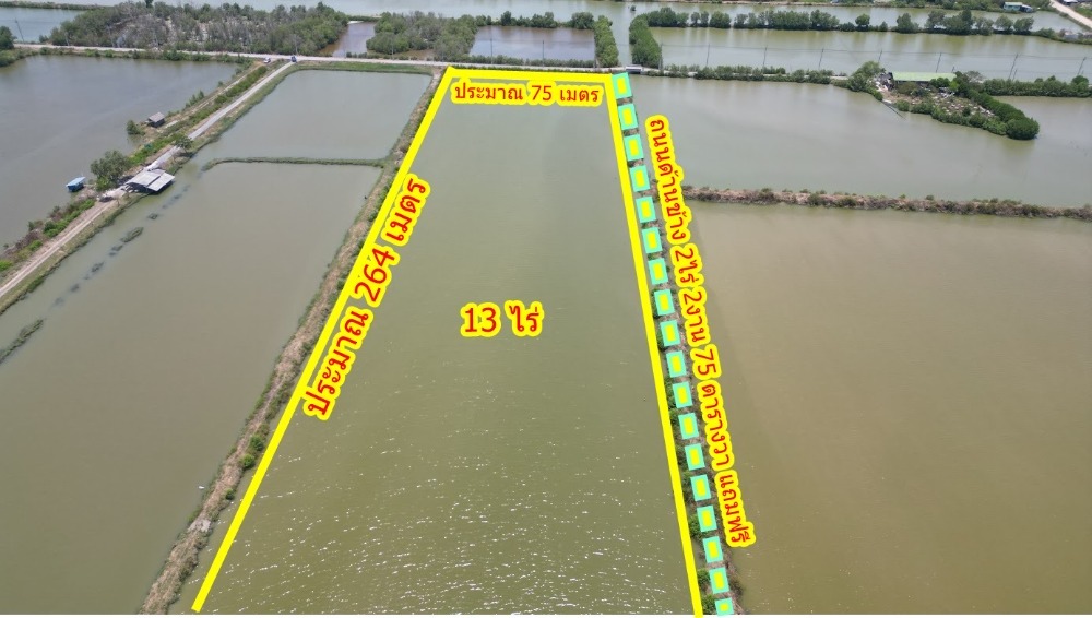 ขายที่ดินพระราม 2 บางขุนเทียน : ขายที่ดิน เทียนทะเล 25 ขนาด 13 ไร่ แถมฟรีทาง 2-2-75 ไร่ ราคาถูกมาก (TFP-60011)