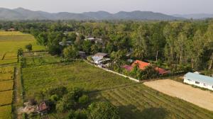 ขายบ้านเชียงใหม่ : ขายบ้านสวนชั้นเดียวบนที่ดินเกือบ 3 งานห่างม.แม่โจ้ เชียงใหม่เพียง 15 นาที สภาพสวย 100%