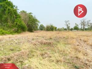 For SaleLandRoi Et : Quick sale of farm land, area 5 rai 2 ngan 45.3 square wah, north of the city, Roi Et, cheap price.