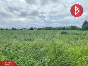 For RentLandPattaya, Bangsaen, Chonburi : Land for rent, area 11 rai 57 square wah, Bang Lamung, Chonburi, near International School