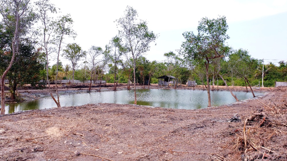 For SaleLandSamut Songkhram : Land next to a large river, good location (owner of the chimney)