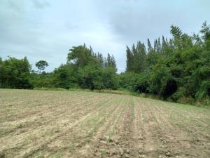 For SaleLandPak Chong KhaoYai : Land in Khao Yai, Pak Chong District, next to Toscana / 5 rai 2 ngan 40 square wah (for sale), Land Khaoyai / 8,960 Sqm (FOR SALE) CREAM430