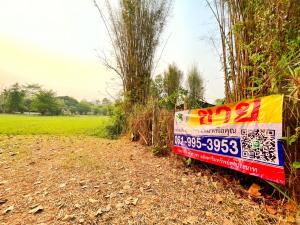 For SaleLandChiang Mai : Chiang Mai Land beautiful land Buy land and get a house!! Buy a house and get a land!! Mae Jo, Chiang Mai