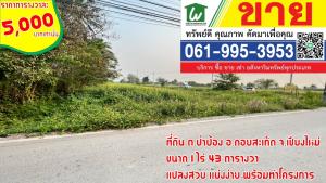 For SaleLandChiang Mai : Chiang Mai land, beautiful land, beautiful land Mama's land, divided into 8-9 plots, perfect, outside, allocated, arranged