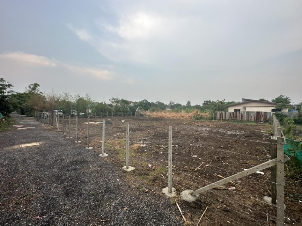 For SaleLandVipawadee, Don Mueang, Lak Si : 🔥 Urgent Sale 🔥 Land 1 rai, Soi Weluwanaram 13, Weluwanaram Temple Road, Bang Khen District