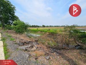 For SaleLandAyutthaya : Land for sale, area 8 rai 2 ngan 62 square wah, Wang Noi, Phra Nakhon Si Ayutthaya.
