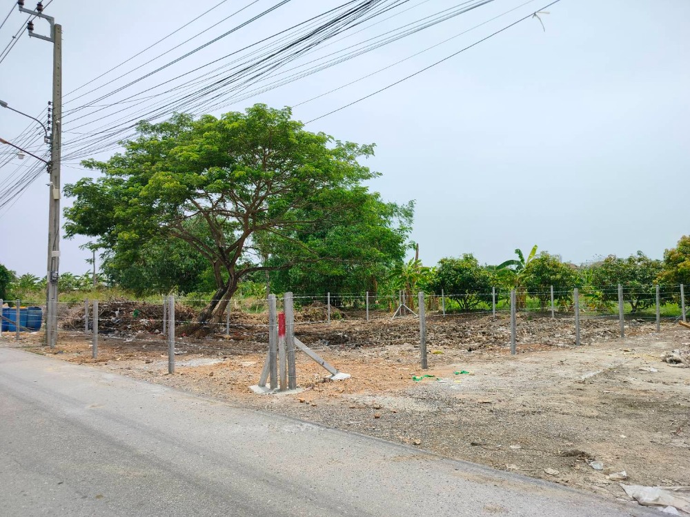 For SaleLandMin Buri, Romklao : Beautiful land for sale, good location, Soi Sangkha Santisuk 38 (next to the road, 6 meters wide), Nong Chok, Bangkok.