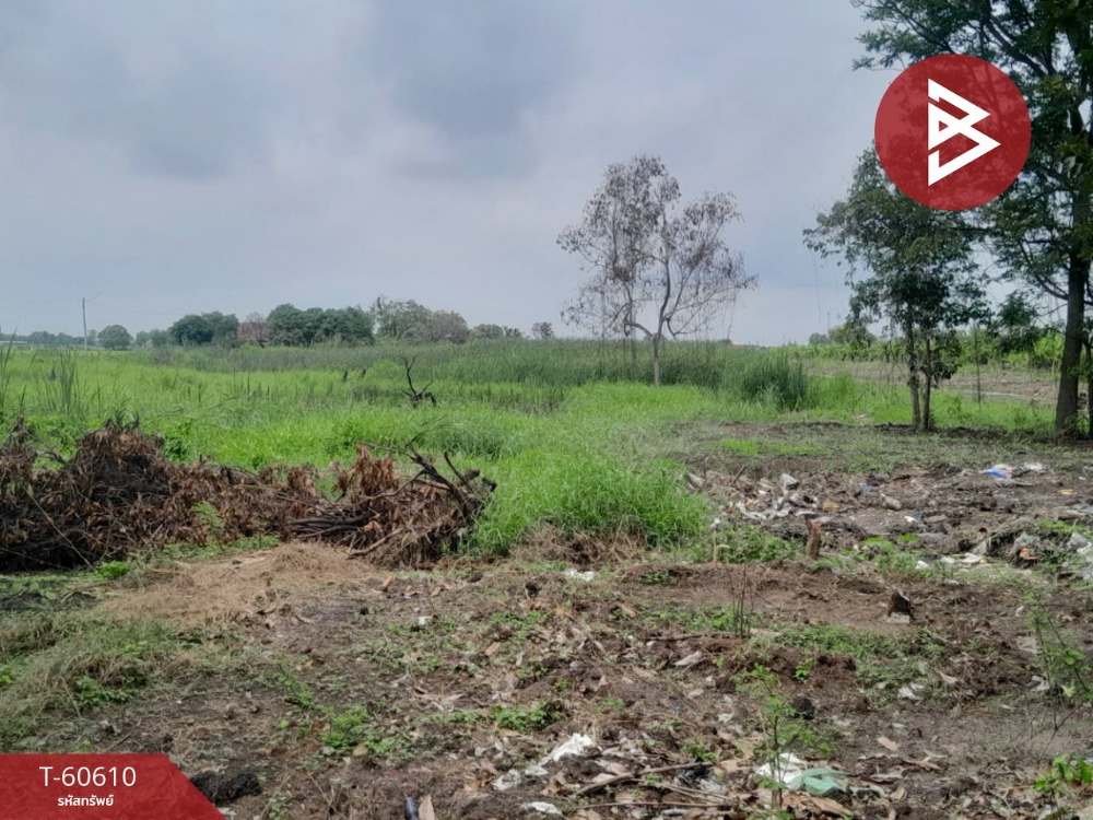 For SaleLandPathum Thani,Rangsit, Thammasat : Land for sale, area 7 rai 2 ngan 98 square wah, Khlong Luang, Pathum Thani