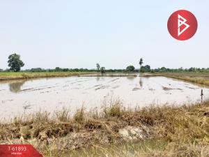 ขายที่ดินพิจิตร : ขายที่ดินเปล่า เนื้อที่ 6 ไร่ ตะพานหิน พิจิตร ติดถนนใหญ่ เดินทางสะดวก