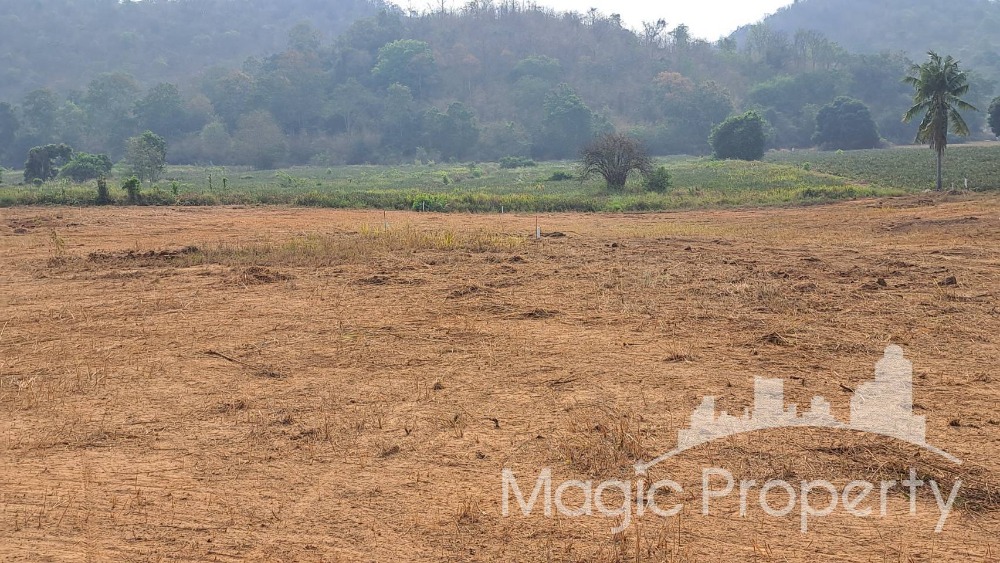 For SaleLandHuahin, Prachuap Khiri Khan, Pran Buri : 8 Rai Land  for Sale in Wang Pong, Pran Buri, Prachuap Khiri Khan