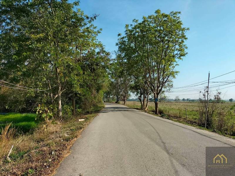 For SaleLandChiang Mai : AE66028 Land for sale land area 15 rai Buakhang San Kamphaeng Chiang Mai