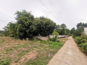 For SaleHouseKorat Nakhon Ratchasima : Single-storey detached house for sale, Orapim Subdistrict, Khon Buri, Nakhon Ratchasima, with land 1-2-44.9 square wa. Beautiful square plot of land, filled, surrounded by a fence, located in a safe community, shady atmosphere, very livable.
