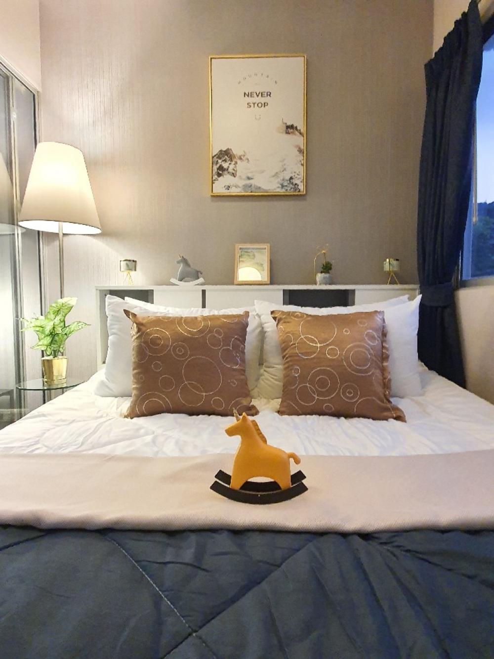 ขายคอนโดปทุมธานี รังสิต ธรรมศาสตร์ : ขายห้องพร้อมผู้เช่า Plum condo park Rangsit เฟส 3 ห้องสวยมาก