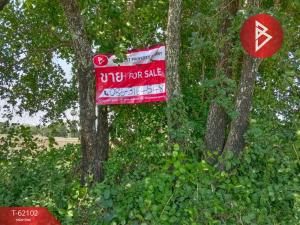 For SaleLandKorat Nakhon Ratchasima : Quick sale of land, area 5 rai 3 ngan 35 square wah, Dan Khun Thot District, Nakhon Ratchasima, cheap price.